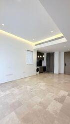 Klimt Cairnhill (D9), Apartment #519523521